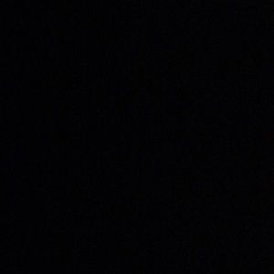 Meet your Posher, Reggie